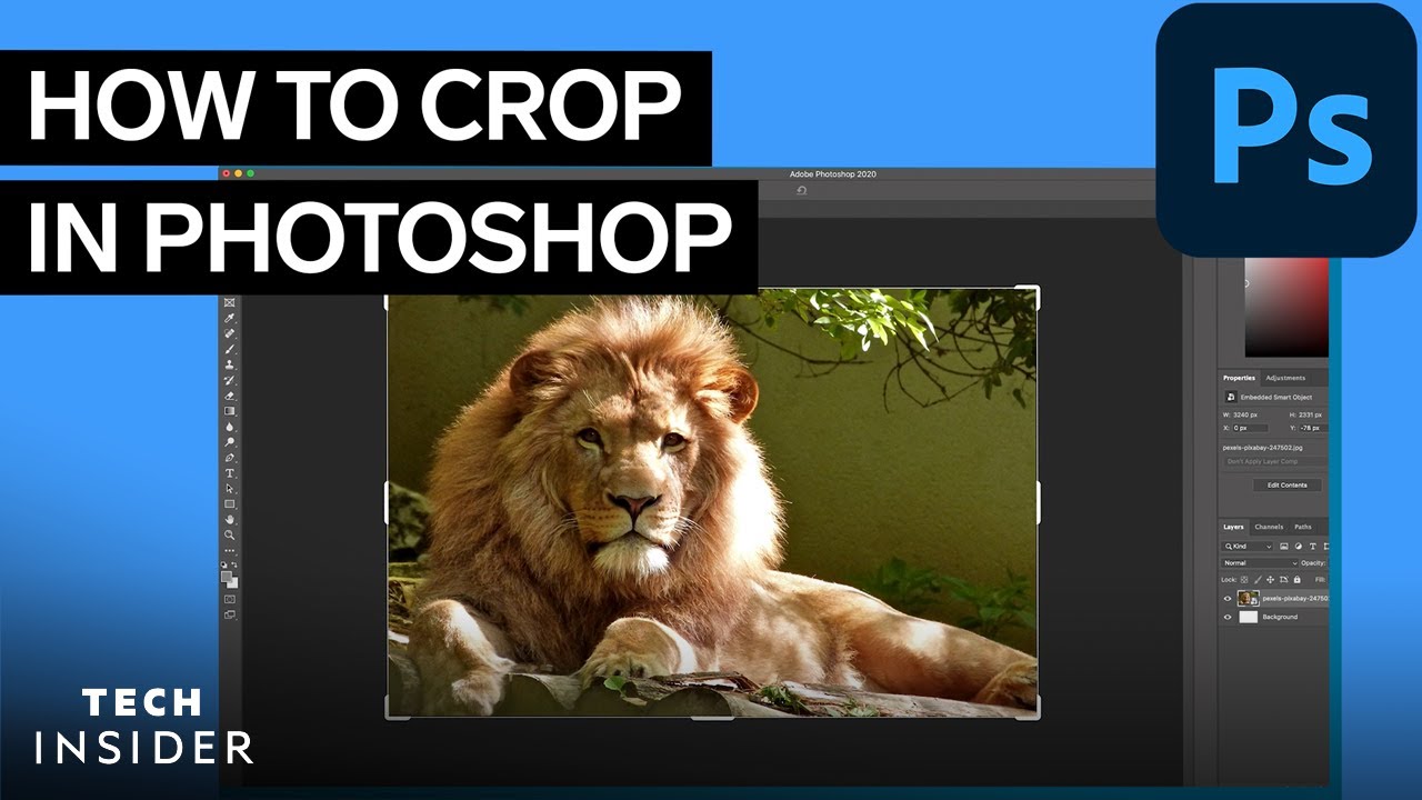 How To Crop In Photoshop