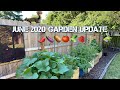 June 2020 Raised Garden Beds Update : 2020 raised bed garden : Off the Grid Solar Garden