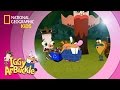 Iggy Arbuckle's Adventures and Tools