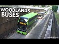 Buses at woodlands bus interchange singapore 2023