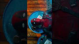 Deadpool - -Wait for End awesome whatsapp status marvel status deadpool