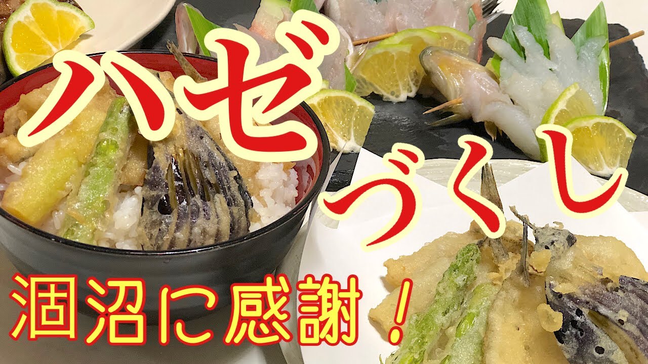 涸沼で釣ったハゼの天ぷらとハゼ丼 刺身３種盛り ハゼ セイゴ 黒鯛 ハゼ料理 Youtube