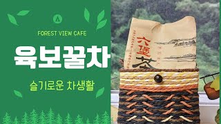 [보이차 시음기] ☆육보 보약한첩 대령이요 😂 ☆  슬기로운 차생활 /육보꿀차 레시피 공개👍 /육보차 🫖