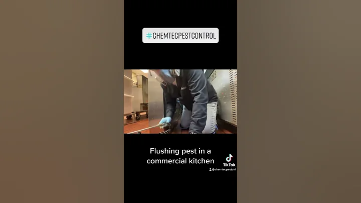 Pest control in a commercial kitchen