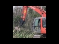 Andrew Kennedy Hedge Cutting 2017