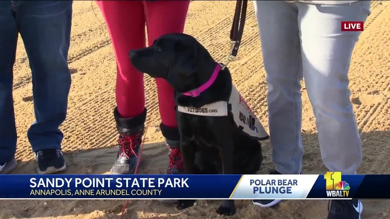 wbal-tv baltimore Camden's at the Polar Bear Plunge!