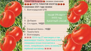 Как посеять семяна томатов БЕЗ ПИКИРОВКИ без заморочек 🍅 29 марта 🍅