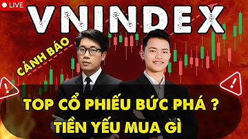 VNINDEX Cảnh Báo | Dòng Tiền Yếu Nên Mua Gì? Top Cổ Phiếu Chuẩn Bị Bứt Phá!