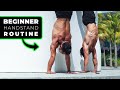 Daily Handstand Routine For Beginners 2022 (Follow Along)