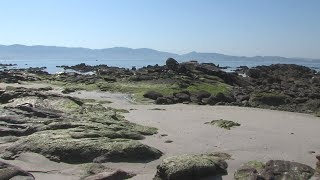 20 anos de protestas na praia Carabuxeira de Sanxenxo