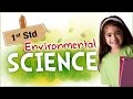 EVS For Class 1 | Learn Science For Kids | Environmental Science | Science For Class 1