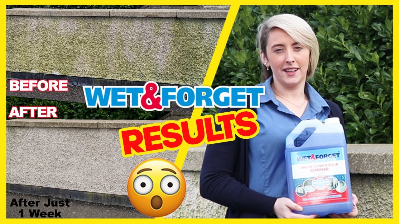 Wet And Forget Best Cleaner Ever? Honest Review 