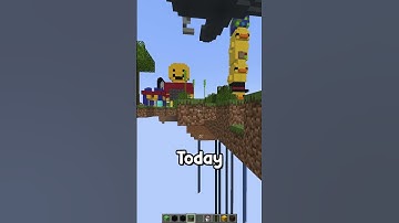 I Placed 42 Blocks For My Followers In Minecraft!