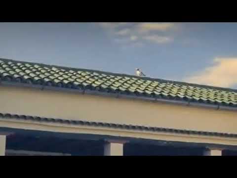 نبذة عن قصر احمد باي