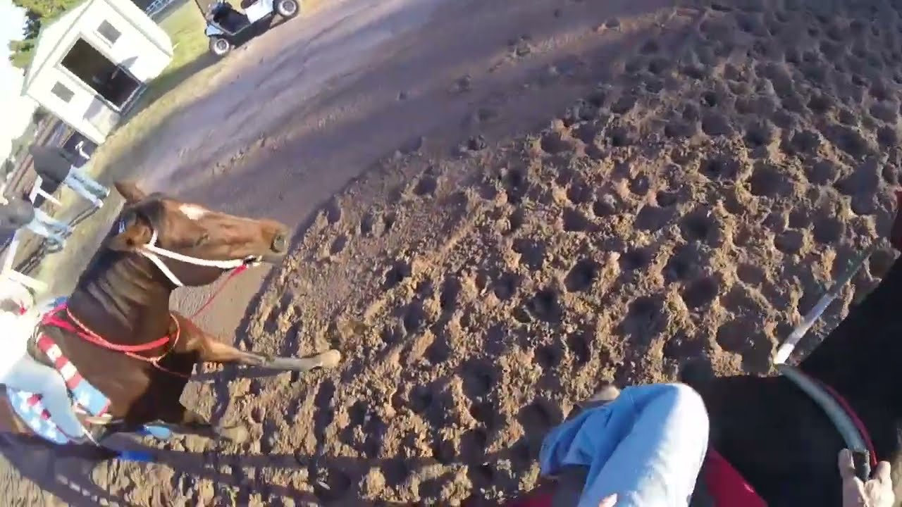 Princess, Thunder & Savvy  October 22nd, 2025