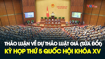 TRỰC TIẾP QUỐC HỘI THẢO LUẬN MỘT SỐ NỘI DUNG CÒN Ý KIẾN KHÁC NHAU CỦA DỰ ÁN LUẬT GIÁ (SỬA ĐỔI)