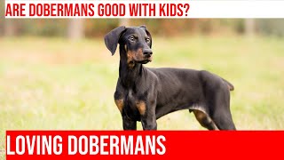 Are Dobermans Good with Kids? Understanding Doberman Temperament