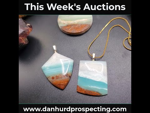 Dan Hurd Prospecting Auction Items