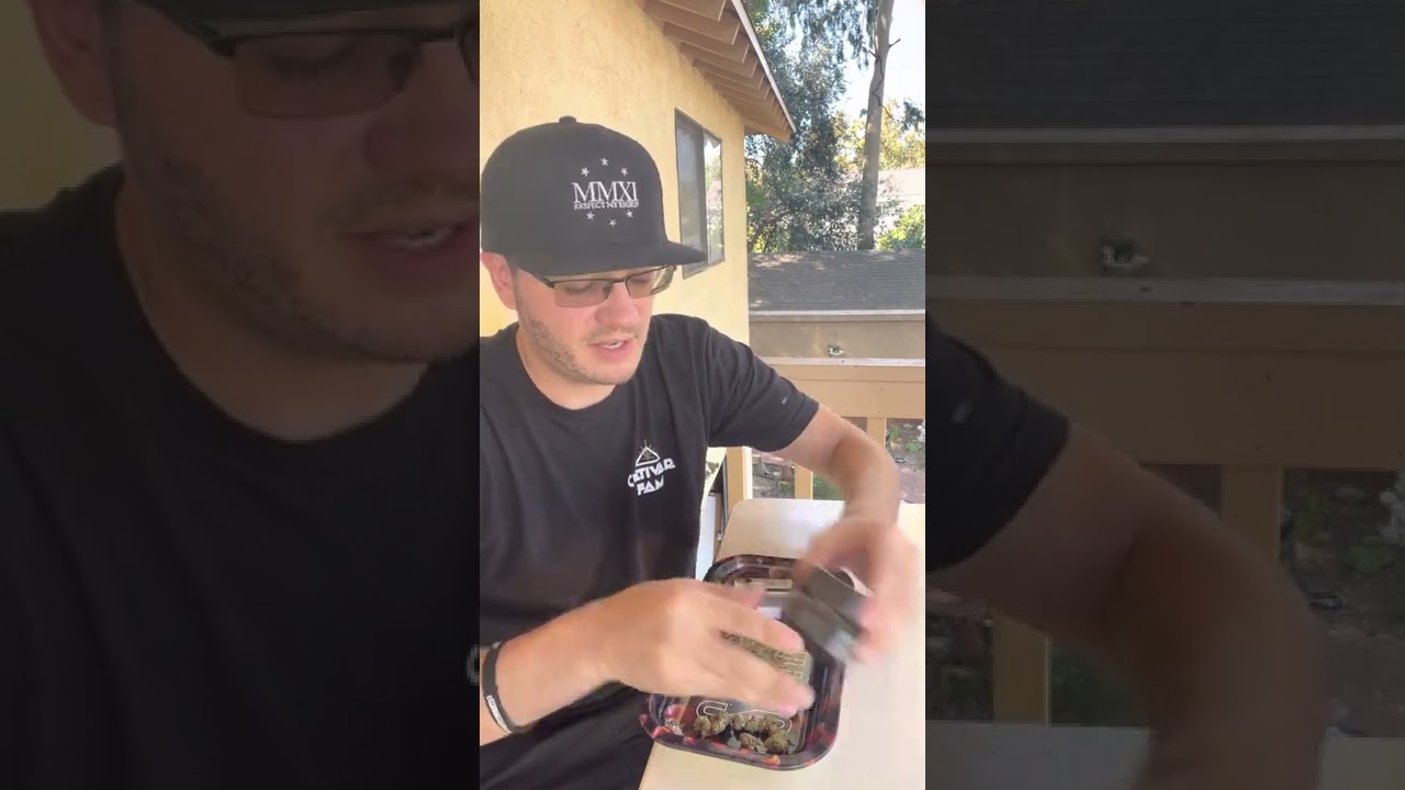 Animal Mints Strain Review Featuring Harbor House Collective in Massachussets