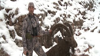 Горная Охота Казахстан ( Ibex hunting in Kazakhstan).