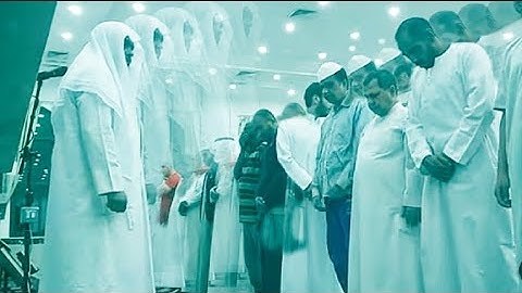 استمتع بتلاوة مؤثرة وابداع في التلاوة  صلاة الفجر يوم الجمعة 7 يوليو2023 لفضيلة الشيخ احمد شاكر