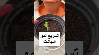 تسريع نمو النباتات