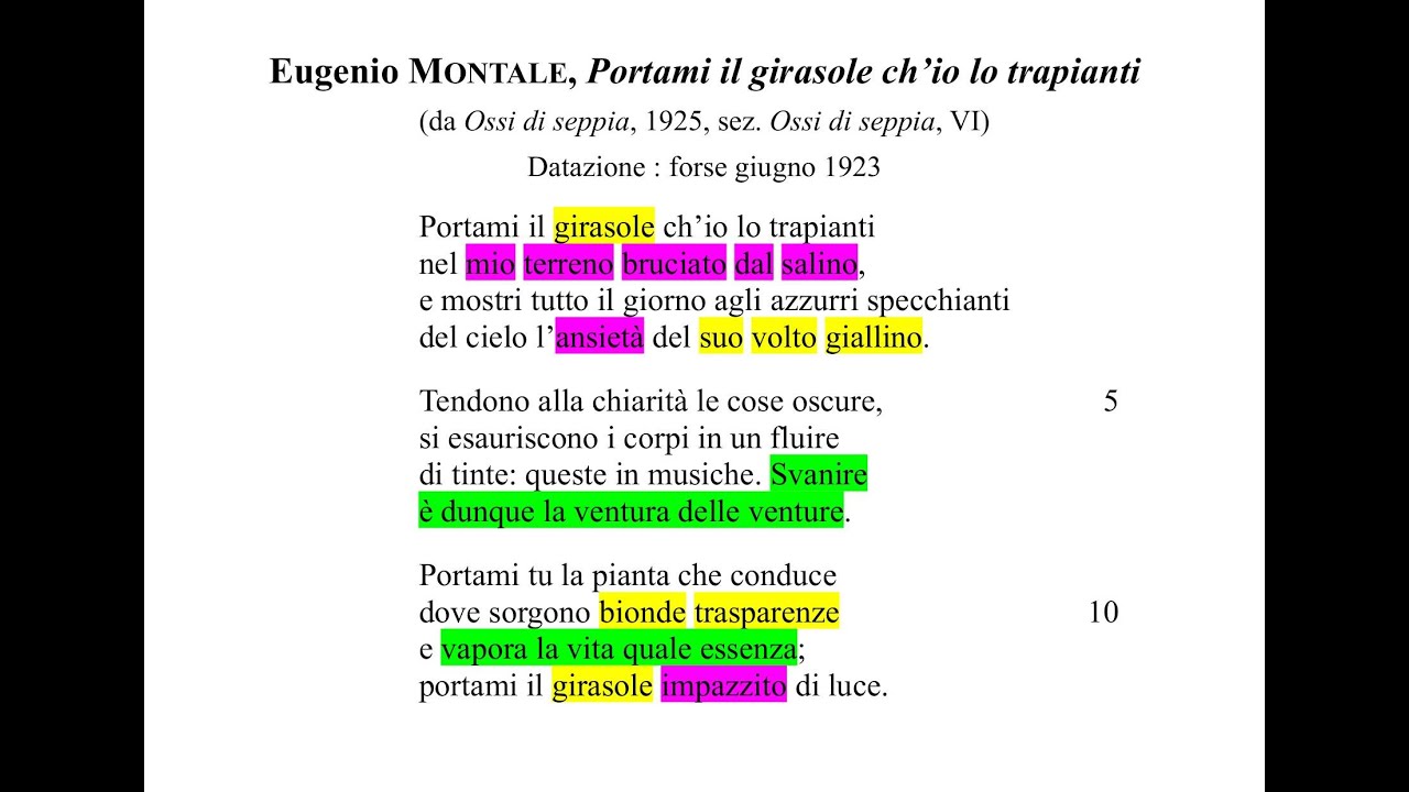 Il Girasole Novembre 2015 by scuola italiana eugenio montale - Issuu