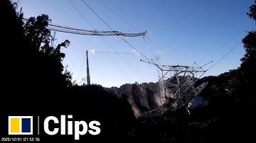 Huge Arecibo radio telescope featured in James Bond film collapses in Puerto Rico