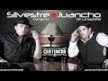 Silvestre Dangond - Cantinero (Con Letra) - *Vallenato 2010*