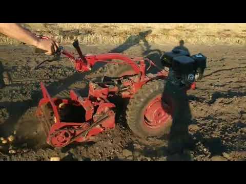 ТРАНСПОРТЕРНАЯ КАРТОФЕЛЕКОПАЛКА К МОТОБЛОКУ - YouTube
