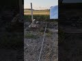 Retay Masai Mara deneme atışı.