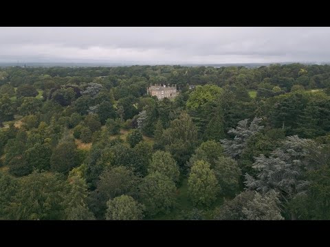 Related Embedded Video Item Thumbnail