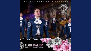 Flor pálida - Mariachi Nuevo Ordaz De Purépero