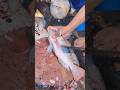 Fish Cuttng lnFish#reels  Market#shortvideo #fishcuttingskills #viral #shorts#shortvideo#shortvideo