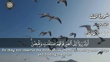 سورة الملك كاملة | القارئ | يوسف الأغبري