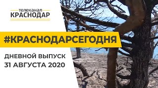 Краснодар Сегодня. Дневной выпуск новостей от 31 августа 2020