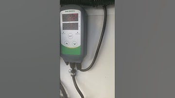 DIY walk in cooler.. single inkbird controller, hard wired to evap