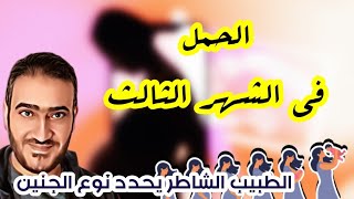 الحمل في الشهر الثالث (كيف يشخص الطبيب الماهر نوع الجنين) نصائح هامة