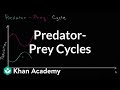 Predator Prey Dynamics in Ecosystems