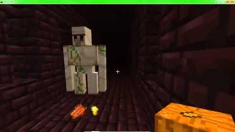 Minecraft- iron golems raid the nether!
