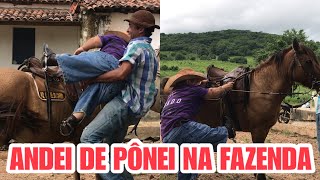 Andei De Pônei Na Fazenda