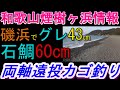 02-06　煙樹ケ浜釣り情報・取材編