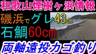 02-06　煙樹ケ浜釣り情報・取材編