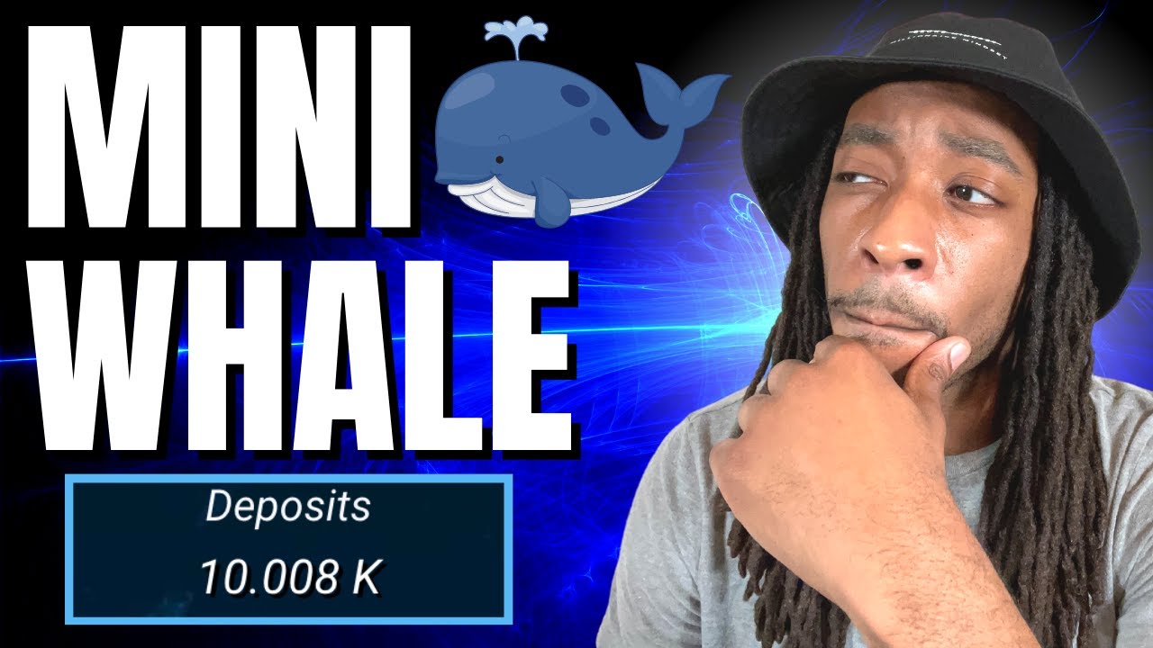 Drip Token Update Mini Whale Status YouTube drip-token-update-mini-whale-status-youtube