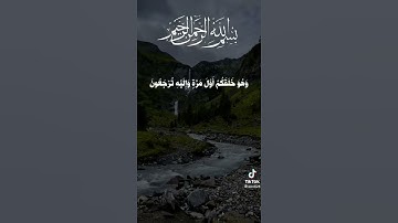 #قران_كريم #تلاوة_خاشعة #فضلا_لايك_و_إشتراك #اجر_لي_ولك #انشر_تؤجر