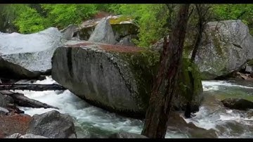 سورة الضحى بصوت عمر صادق الكردي