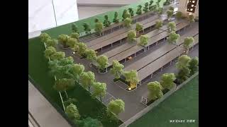Damar Residence, Lok Kawi Tropika Park City, Your Urban Lifestyle Destination
