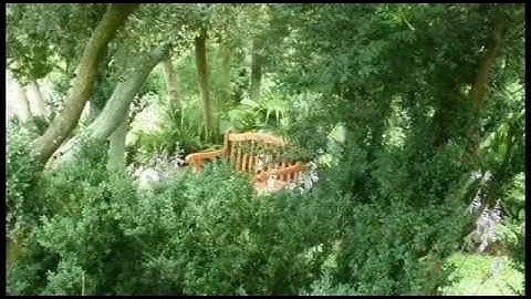 Tree Selection: One Minute Arborist | Tree Doctors In Virginia