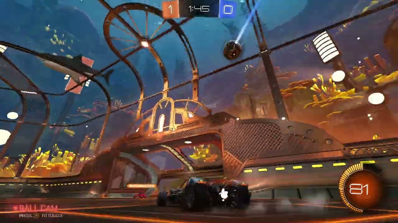 WHEN DID I SCORE A TURTLE GOAL RL