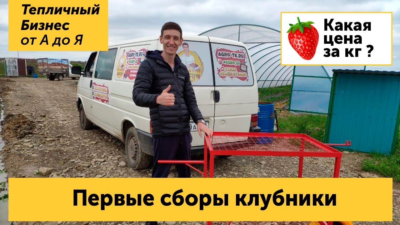 ⁣Первые сборы клубники в апреле. Цена на ягоду в Экоферме Шешиных